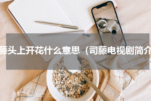 司藤头上开花什么意思（司藤电视剧简介）