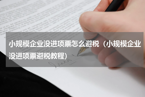 小规模企业没进项票怎么避税（小规模企业没进项票避税教程）
