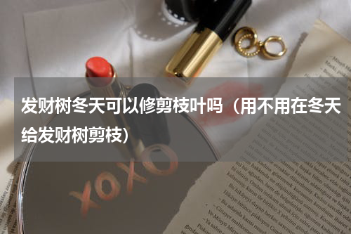 发财树冬天可以修剪枝叶吗（用不用在冬天给发财树剪枝）