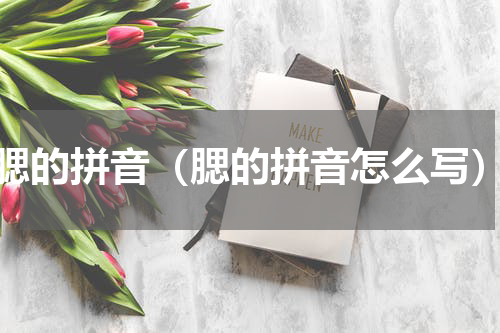 腮的拼音（腮的拼音怎么写）