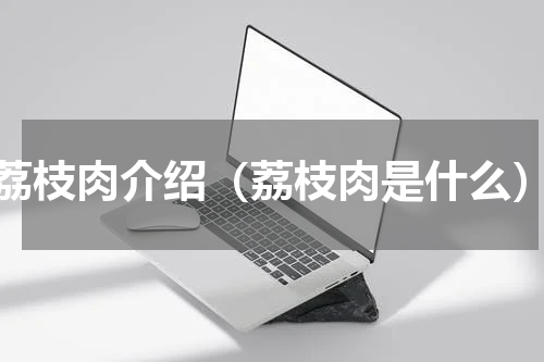 荔枝肉介绍（荔枝肉是什么）