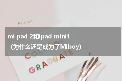mi pad 2和ipad mini1（为什么还是成为了Miboy）