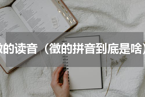 徵的读音（徵的拼音到底是啥）