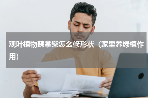 观叶植物鹅掌柴怎么修形状（家里养绿植作用）