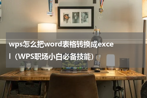 wps怎么把word表格转换成excel（WPS职场小白必备技能）