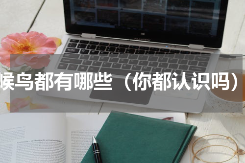 候鸟都有哪些（你都认识吗）