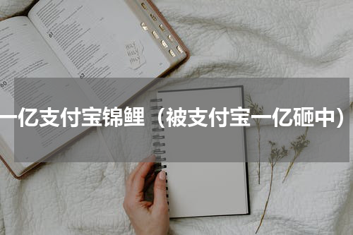 一亿支付宝锦鲤（被支付宝一亿砸中）