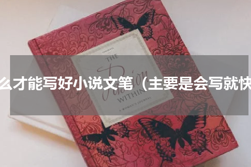 怎么才能写好小说文笔（主要是会写就快）