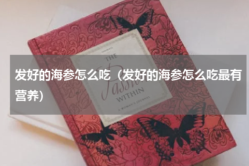 发好的海参怎么吃（发好的海参怎么吃最有营养）