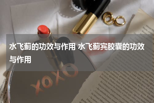 水飞蓟的功效与作用 水飞蓟宾胶囊的功效与作用
