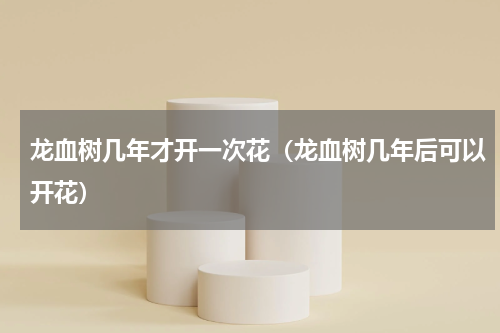 龙血树几年才开一次花（龙血树几年后可以开花）