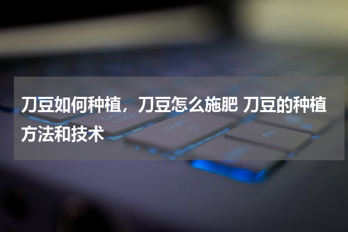 刀豆如何种植，刀豆怎么施肥 刀豆的种植方法和技术