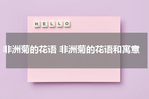 非洲菊的花语 非洲菊的花语和寓意