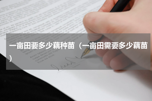一亩田要多少藕种苗（一亩田需要多少藕苗）
