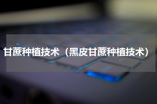 甘蔗种植技术（黑皮甘蔗种植技术）