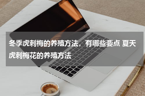 冬季虎刺梅的养殖方法，有哪些要点 夏天虎刺梅花的养殖方法