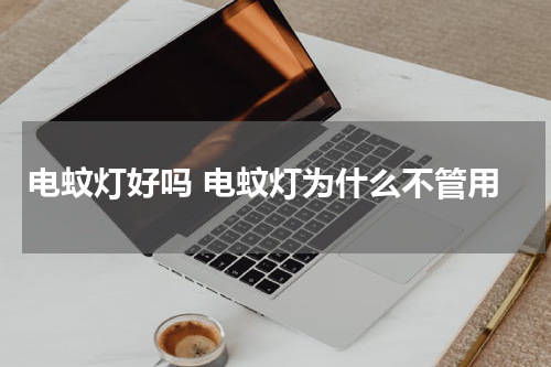 电蚊灯好吗 电蚊灯为什么不管用