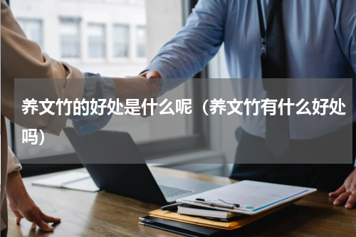 养文竹的好处是什么呢（养文竹有什么好处吗）