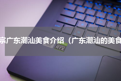正宗广东潮汕美食介绍（广东潮汕的美食）