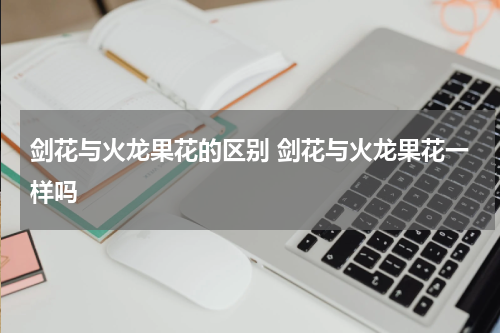 剑花与火龙果花的区别 剑花与火龙果花一样吗