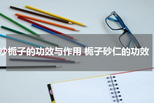 沙栀子的功效与作用 栀子砂仁的功效