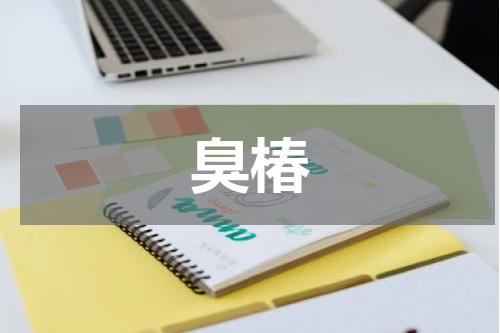 臭椿