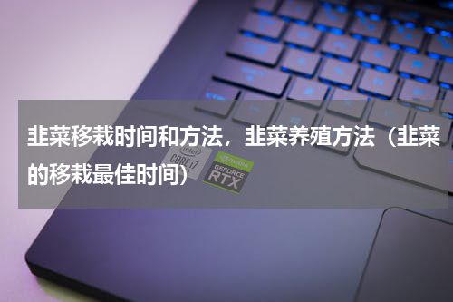 韭菜移栽时间和方法，韭菜养殖方法（韭菜的移栽最佳时间）