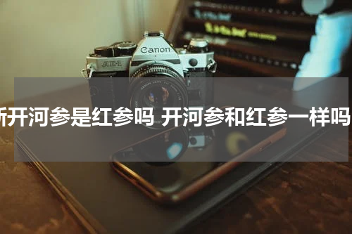 新开河参是红参吗 开河参和红参一样吗