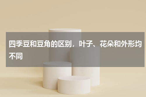 四季豆和豆角的区别，叶子、花朵和外形均不同