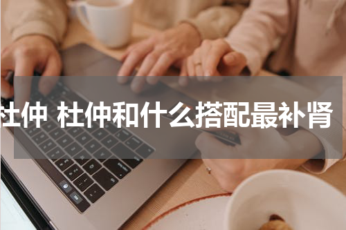 杜仲 杜仲和什么搭配最补肾