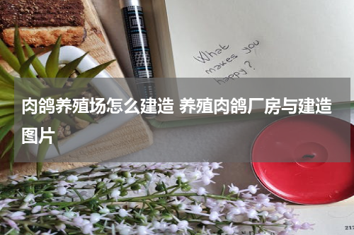 肉鸽养殖场怎么建造 养殖肉鸽厂房与建造图片