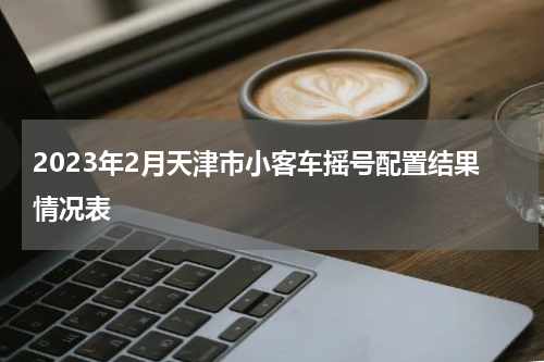 2023年2月天津市小客车摇号配置结果情况表