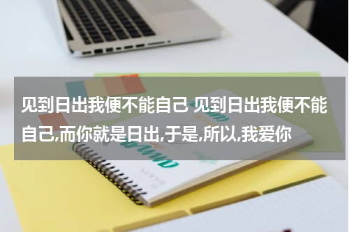 见到日出我便不能自己 见到日出我便不能自己,而你就是日出,于是,所以,我爱你