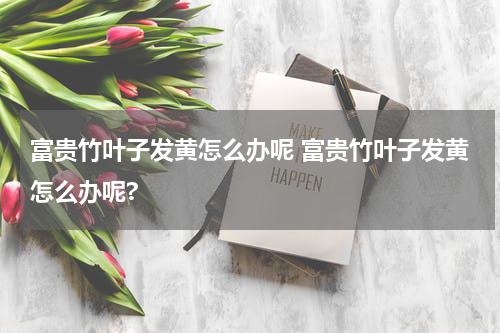 富贵竹叶子发黄怎么办呢 富贵竹叶子发黄怎么办呢?