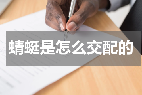 蜻蜓是怎么交配的