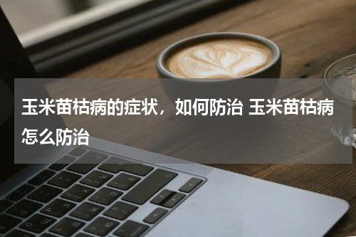 玉米苗枯病的症状，如何防治 玉米苗枯病怎么防治
