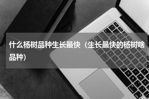 什么杨树品种生长最快（生长最快的杨树啥品种）