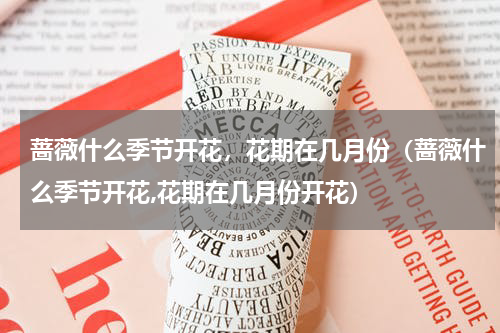蔷薇什么季节开花，花期在几月份（蔷薇什么季节开花,花期在几月份开花）