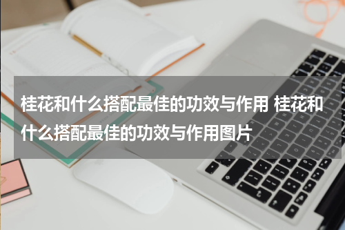 桂花和什么搭配最佳的功效与作用 桂花和什么搭配最佳的功效与作用图片