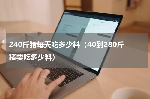 240斤猪每天吃多少料（40到280斤猪要吃多少料）