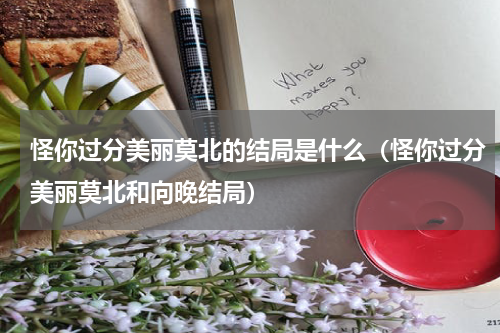 怪你过分美丽莫北的结局是什么（怪你过分美丽莫北和向晚结局）