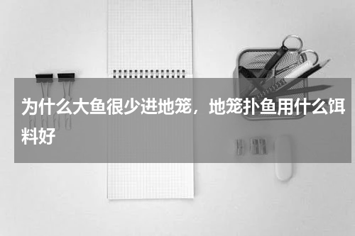 为什么大鱼很少进地笼，地笼扑鱼用什么饵料好