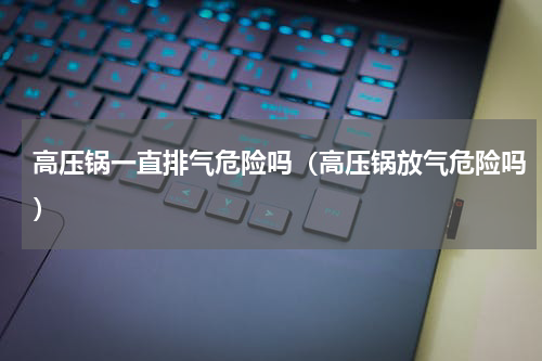 高压锅一直排气危险吗（高压锅放气危险吗）