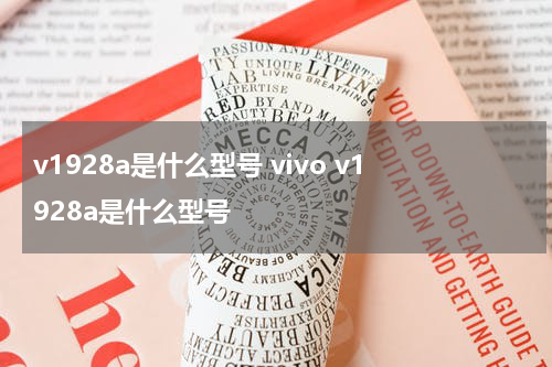 v1928a是什么型号 vivo v1928a是什么型号