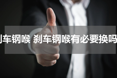 刹车钢喉 刹车钢喉有必要换吗