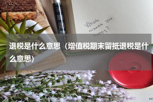 退税是什么意思（增值税期末留抵退税是什么意思）