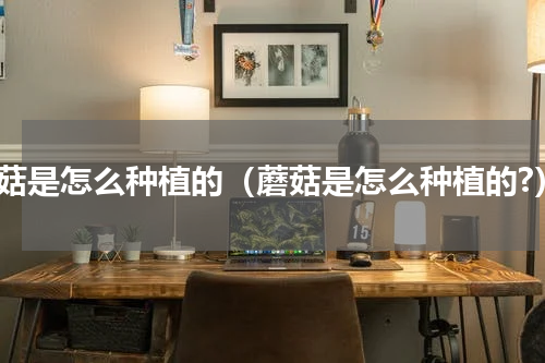 蘑菇是怎么种植的（蘑菇是怎么种植的?）