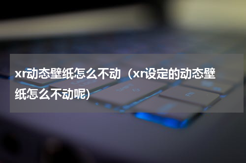 xr动态壁纸怎么不动（xr设定的动态壁纸怎么不动呢）
