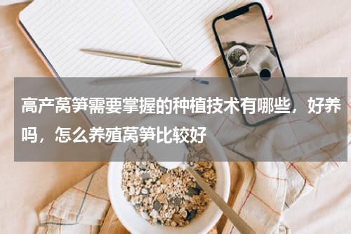 高产莴笋需要掌握的种植技术有哪些，好养吗，怎么养殖莴笋比较好