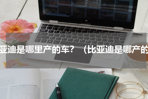 比亚迪是哪里产的车？（比亚迪是哪产的）